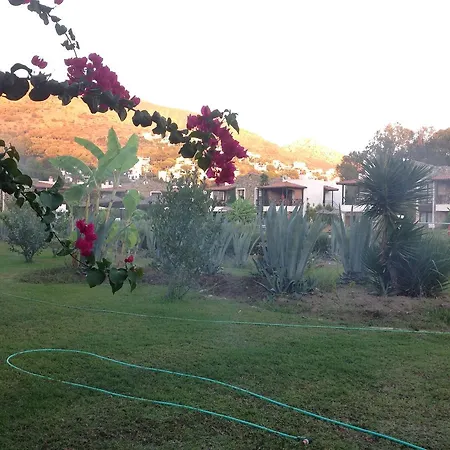 Bodrum Bouquet House